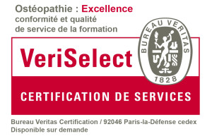 InSO Lille - Logo Veriselect 2017